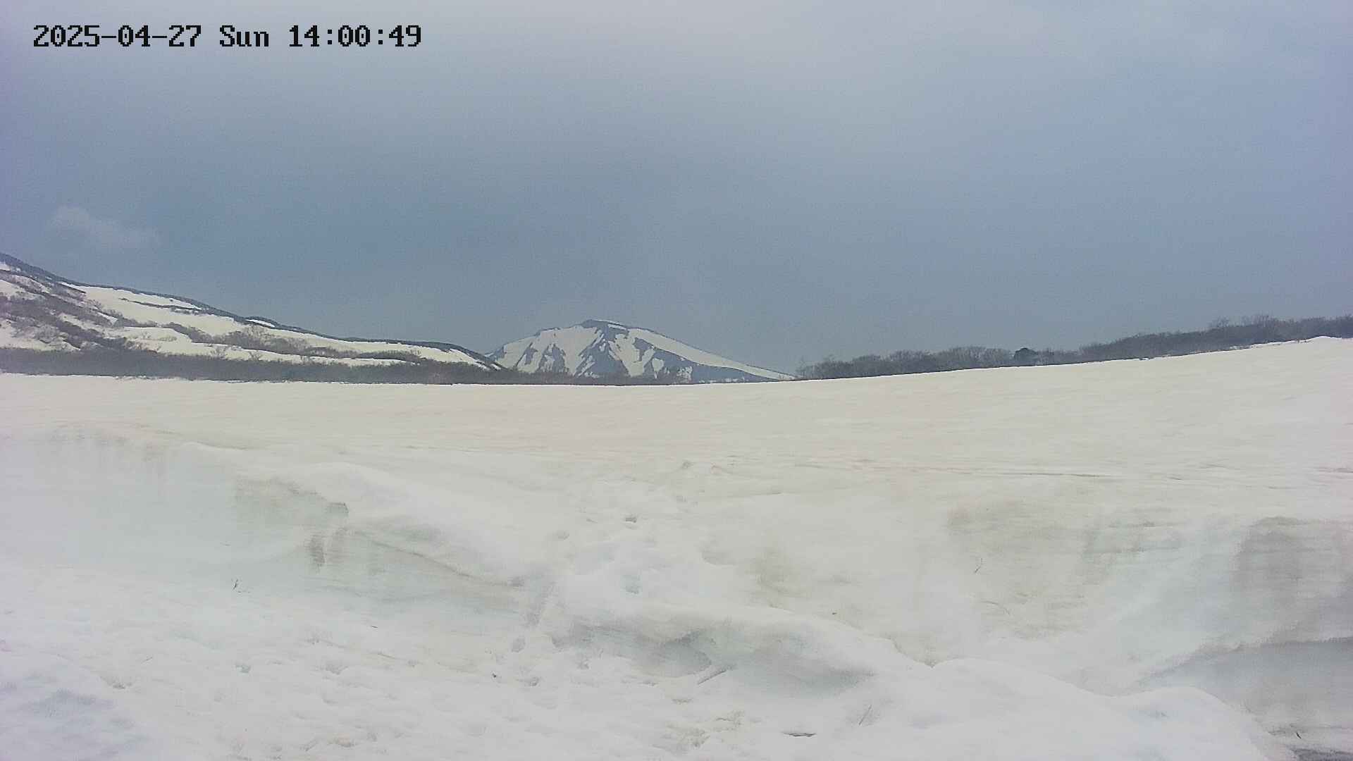 area3-20250427140053.jpg