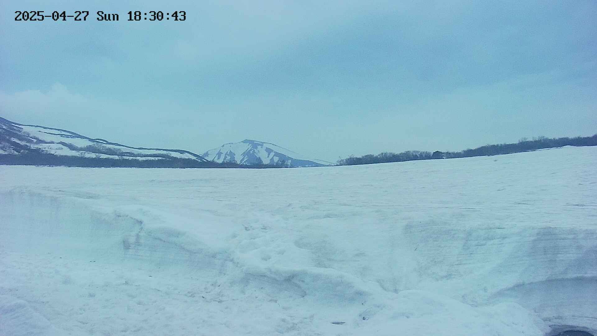 area3-20250427183045.jpg