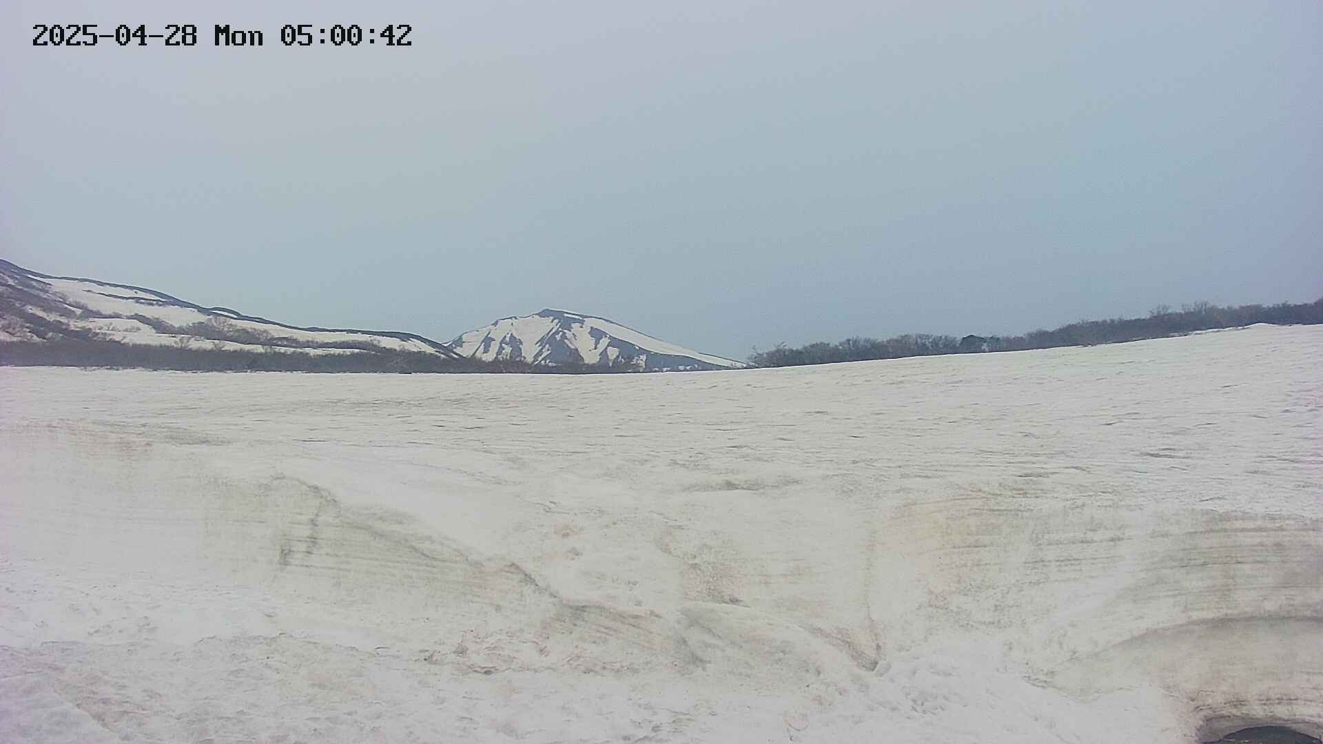 area3-20250428050043.jpg