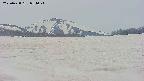 area3-20250428054045.jpg