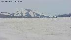 area3-20250428055043.jpg