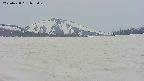 area3-20250428072044.jpg