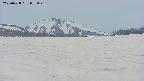 area3-20250428073047.jpg