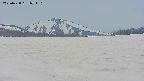 area3-20250428074113.jpg
