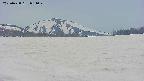 area3-20250428081051.jpg