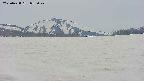 area3-20250428082049.jpg