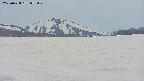 area3-20250428085047.jpg