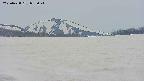 area3-20250428092042.jpg