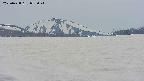 area3-20250428093043.jpg