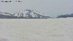 area3-20250428110409.jpg