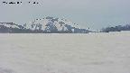area3-20250428112047.jpg