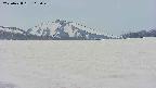 area3-20250428115048.jpg