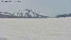 area3-20250428120051.jpg