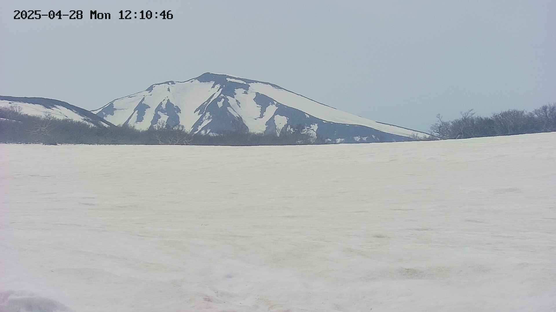 area3-20250428121047.jpg