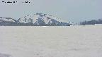 area3-20250428121047.jpg