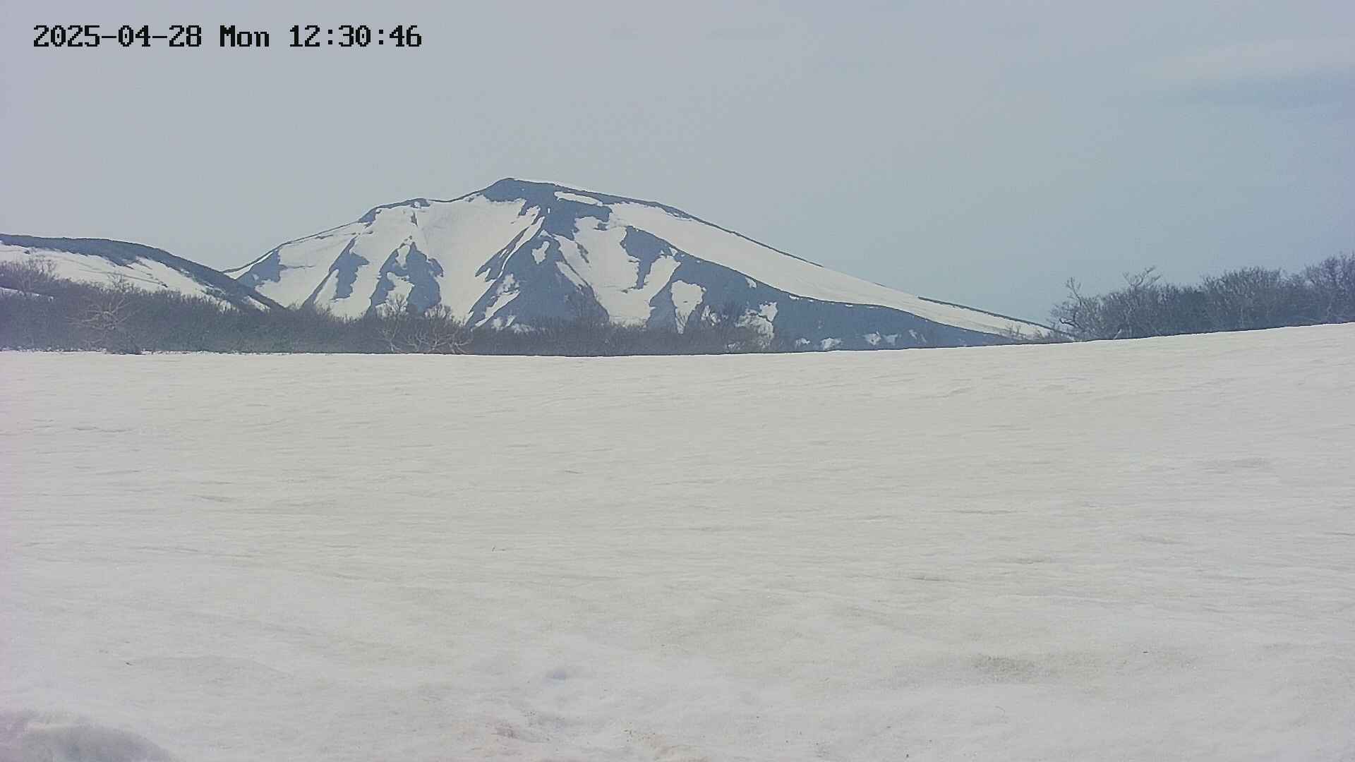 area3-20250428123049.jpg