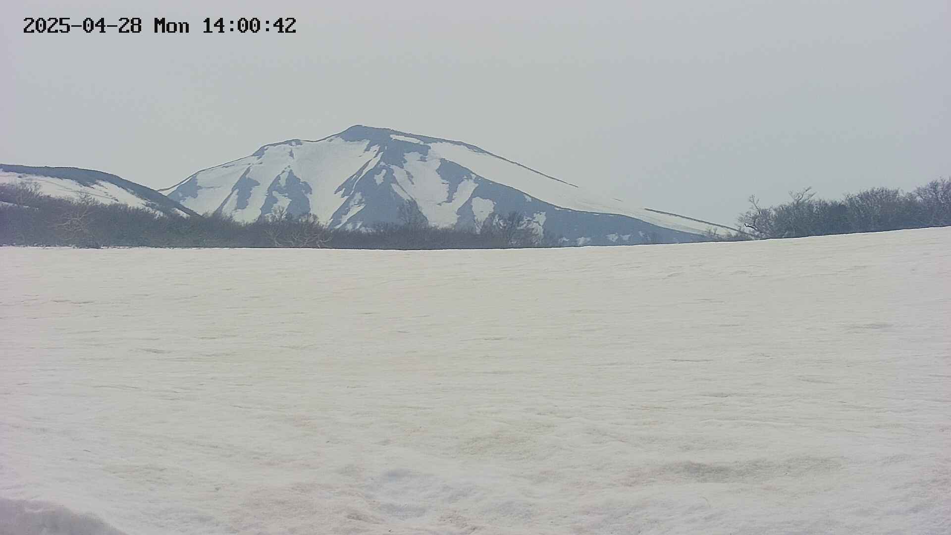 area3-20250428140044.jpg