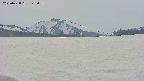 area3-20250428142058.jpg