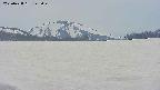 area3-20250428145050.jpg