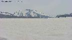 area3-20250428150200.jpg
