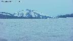 area3-20250428183100.jpg