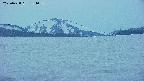 area3-20250428184100.jpg