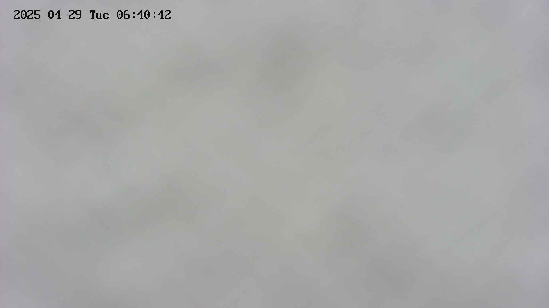 area3-20250429064043.jpg