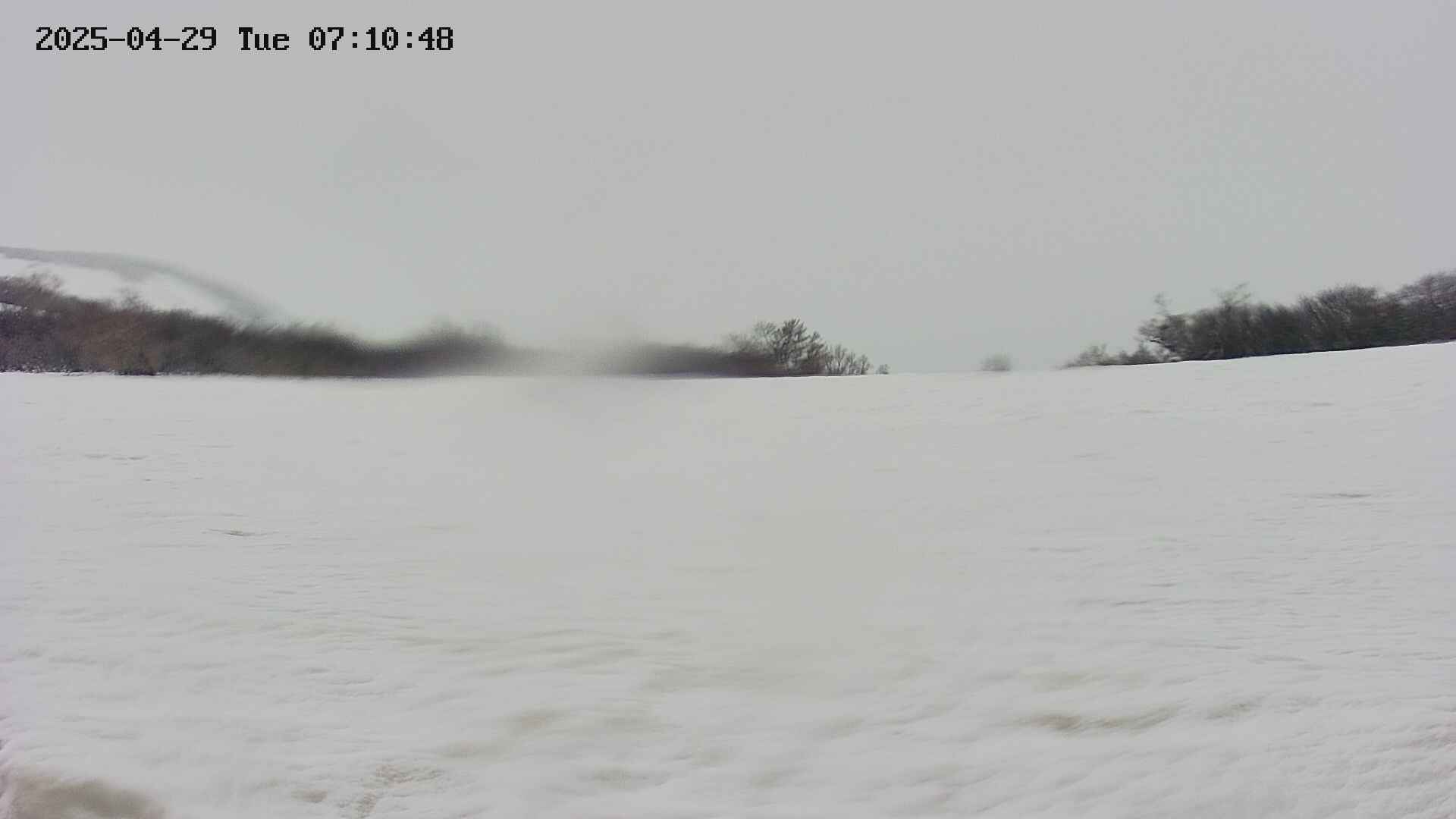 area3-20250429071050.jpg