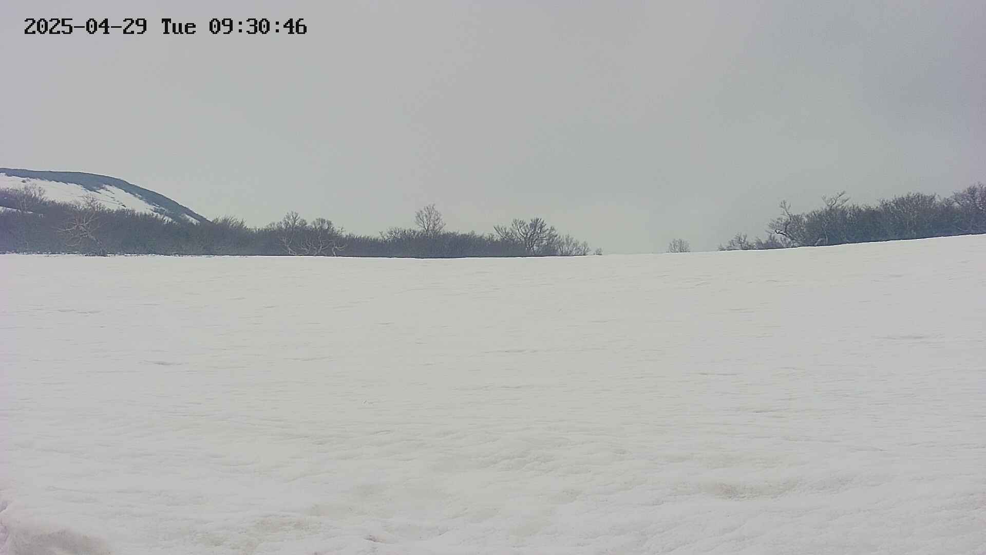 area3-20250429093047.jpg