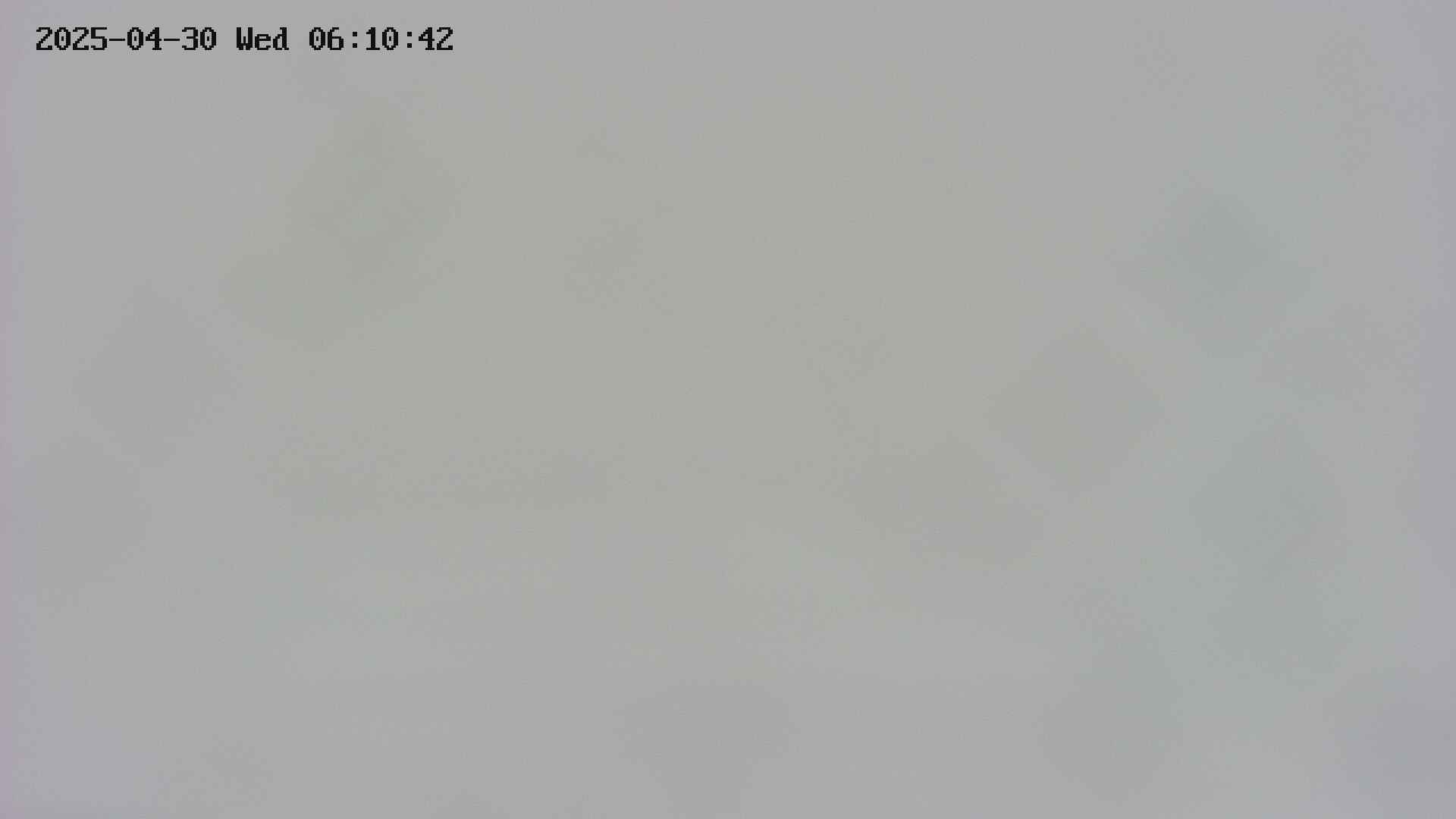 area3-20250430061043.jpg