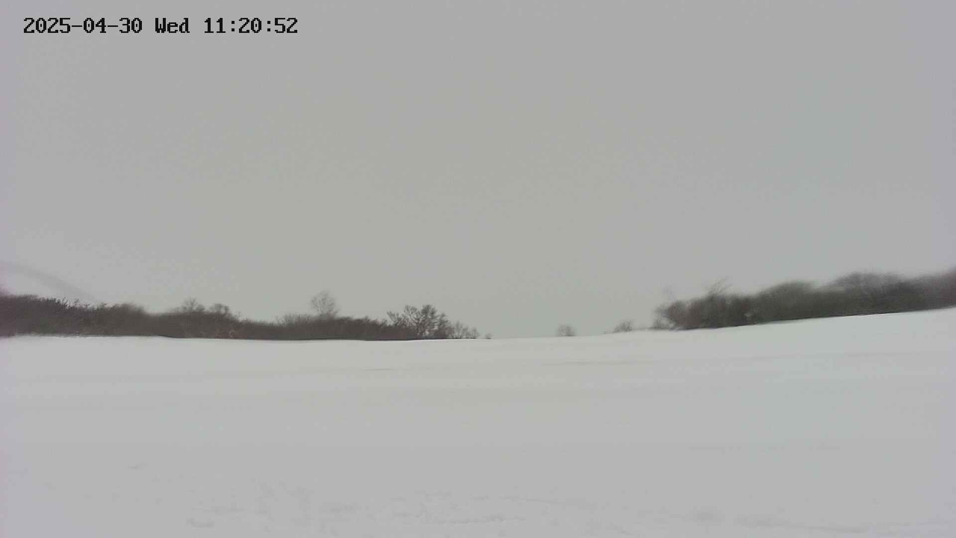 area3-20250430112054.jpg