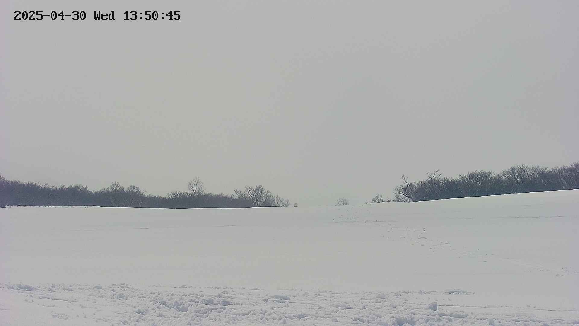 area3-20250430135048.jpg