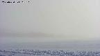 area3-20250430163109.jpg
