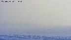 area3-20250430175050.jpg