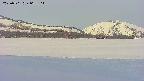 area3-20250501062120.jpg