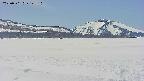 area3-20250501125109.jpg