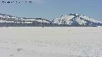 area3-20250501130108.jpg