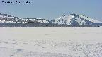 area3-20250501133051.jpg