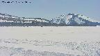 area3-20250501140103.jpg