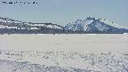 area3-20250501142051.jpg