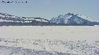 area3-20250501143104.jpg