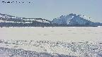 area3-20250501145153.jpg