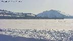 area3-20250501162052.jpg