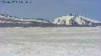 area3-20250502085106.jpg