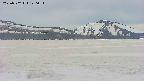 area3-20250502120103.jpg