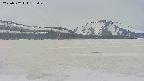 area3-20250502135050.jpg