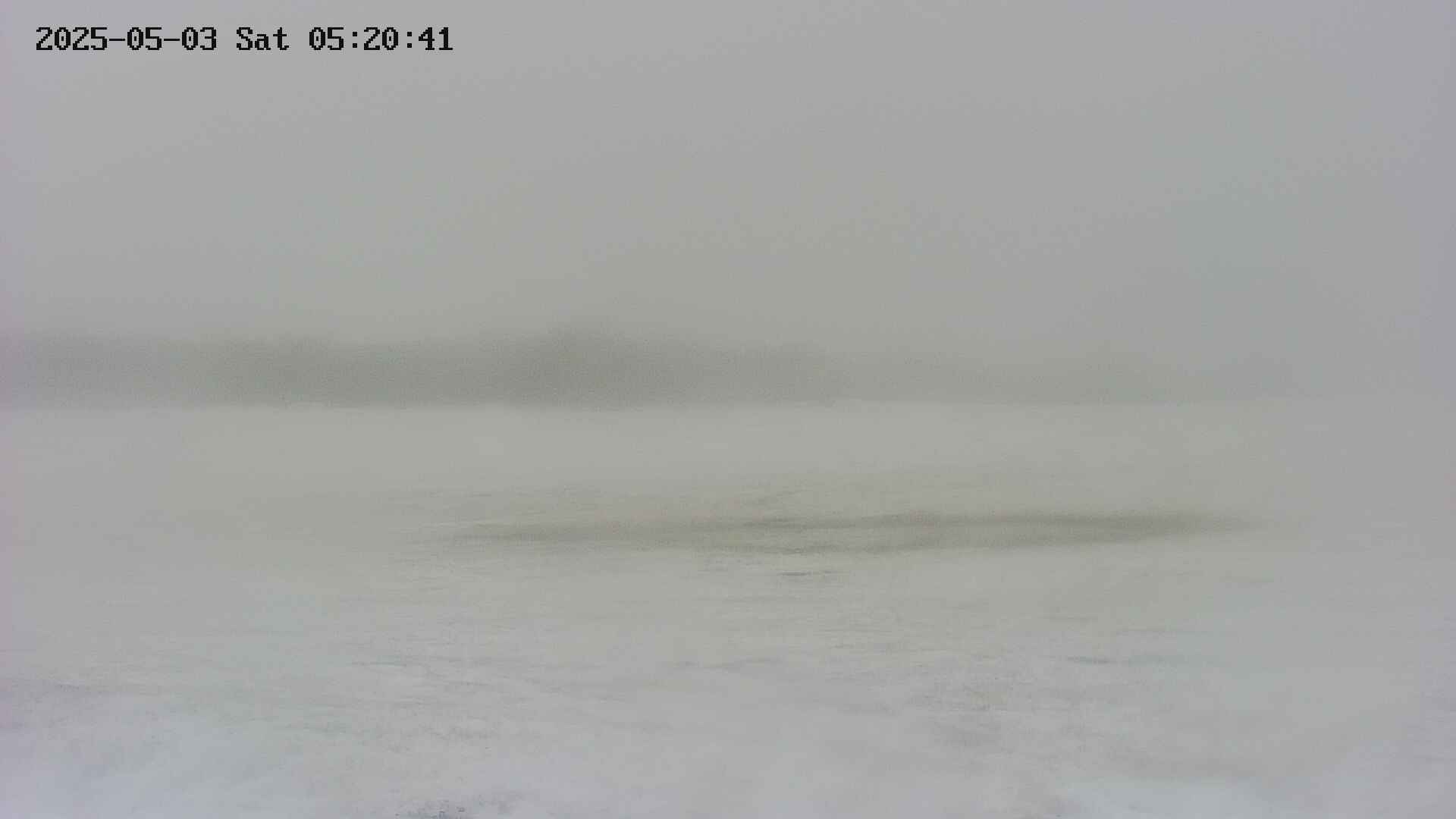area3-20250503052042.jpg