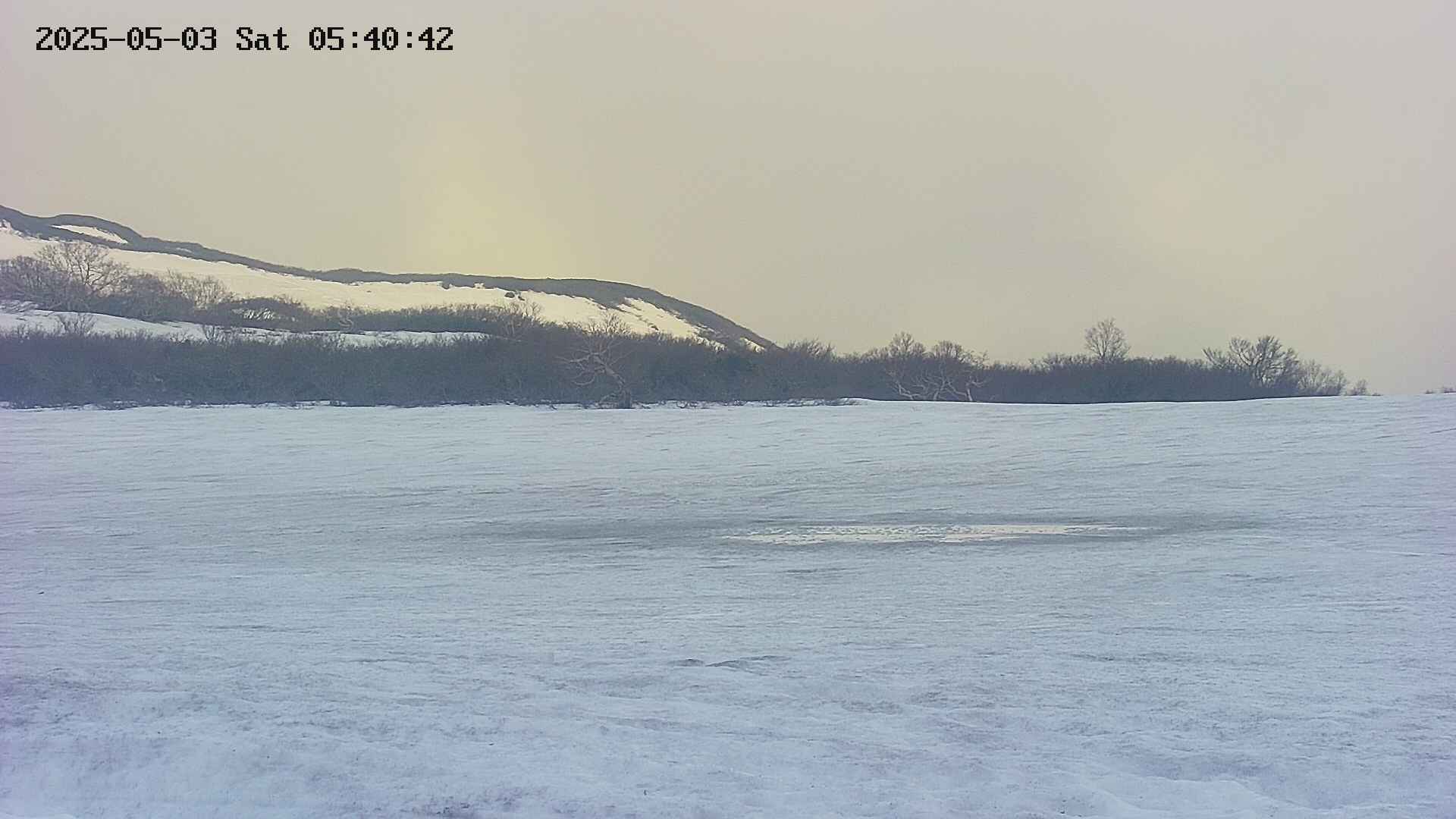 area3-20250503054043.jpg