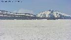 area3-20250503110053.jpg