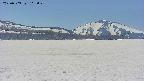 area3-20250503112051.jpg